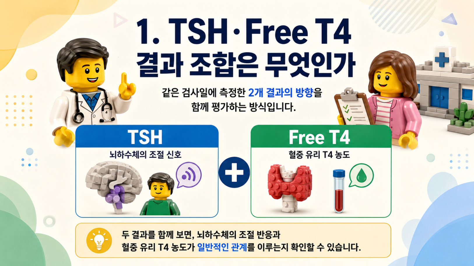 TSH와 Free T4 결과 조합의 의미를 설명하는 레고 스타일 메디컬 인포그래픽