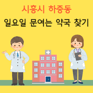 시흥시 하중동 일요일 문여는 약국 찾기