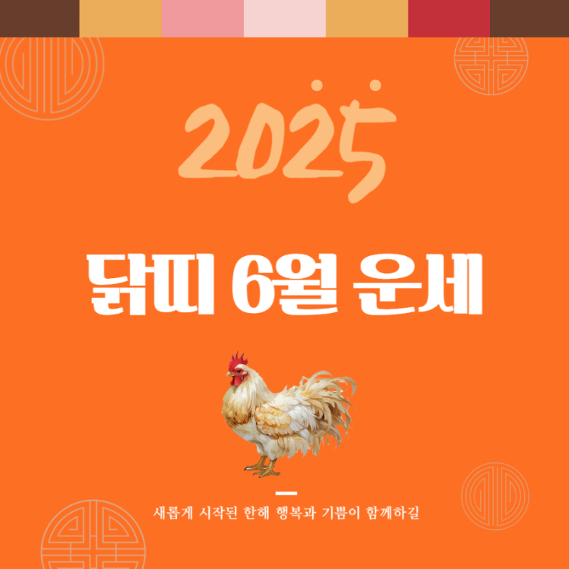2025년 6월 『닭띠』 운세 쌈네일