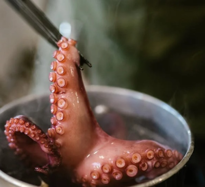 낙지 연포탕 만드는 법