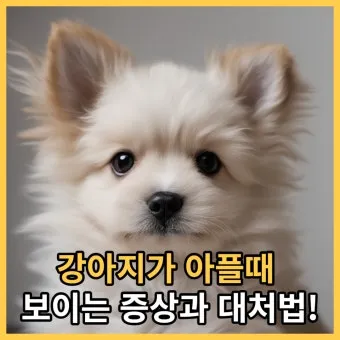 강아지 아플 때 증상 10가지 주의해야 할 건강 신호_24