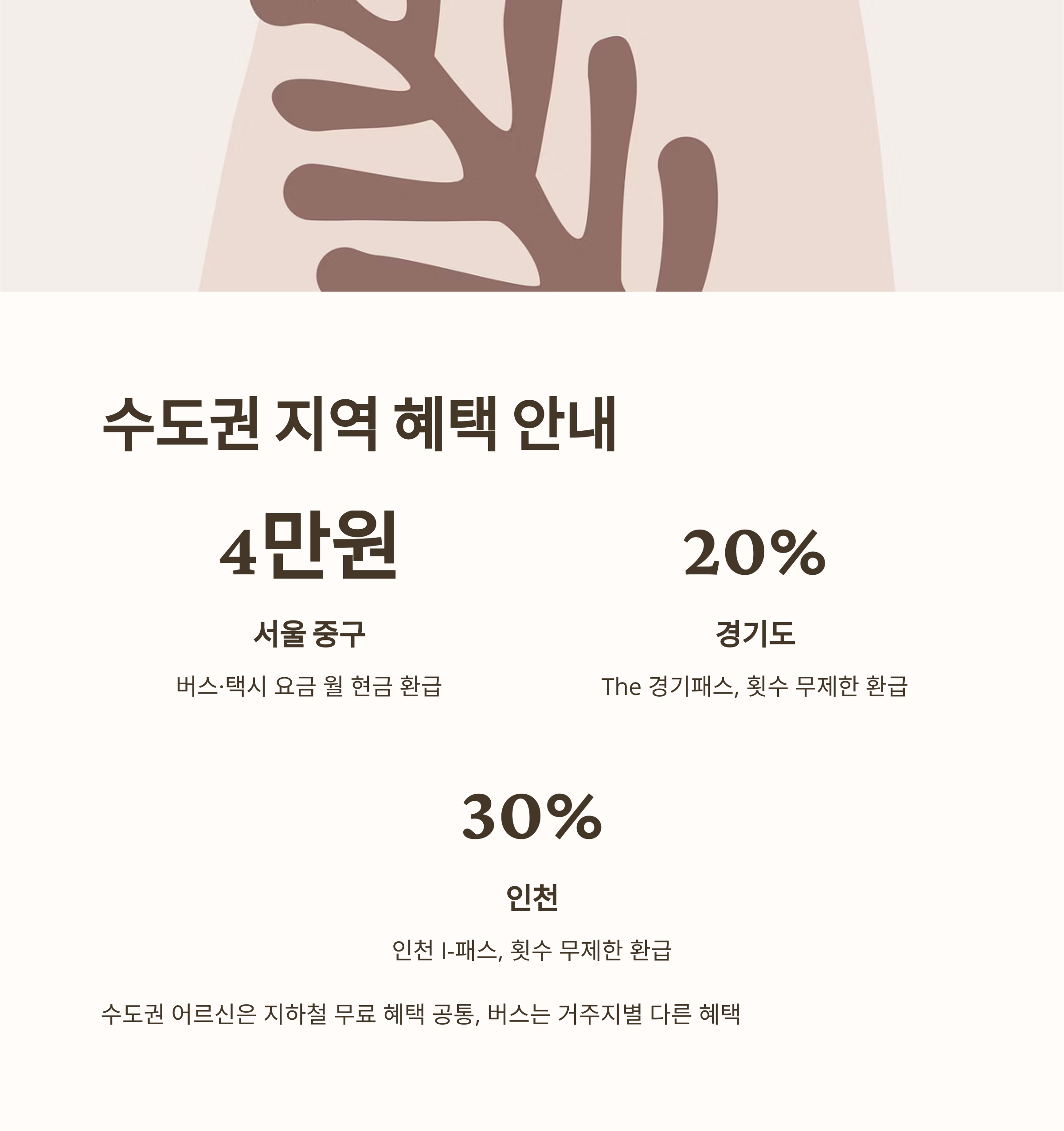 전국 65세 이상 버스비 무료