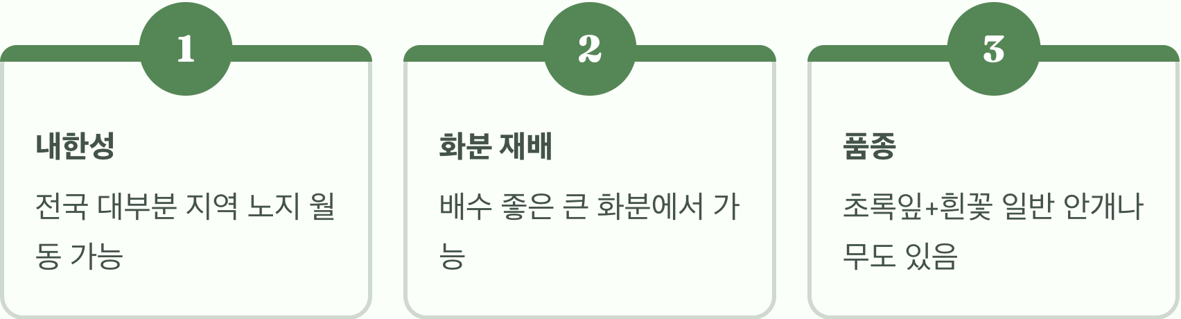 정원에 보라색 안개를 피우다, 자엽안개나무의 모든 것
