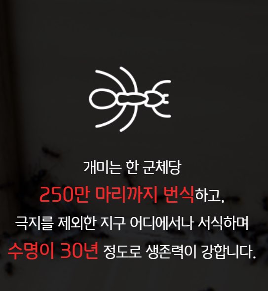 세스코 가정집 비용