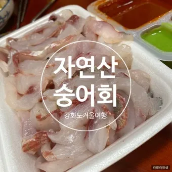 강화도 숭어낚시 최고 포인트 추천 정확한 주소와 주차 정보_8