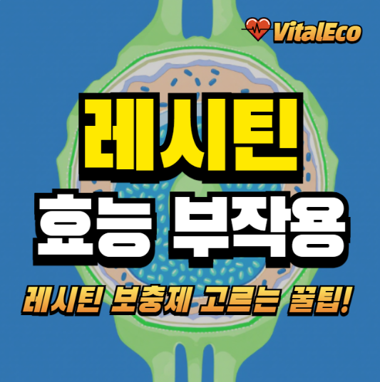 레시틴 효능 부작용 알아보기