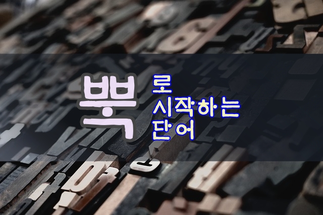 뿍으로 시작하는 단어