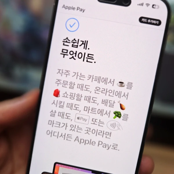 간편결제-수수료-소비자-부담