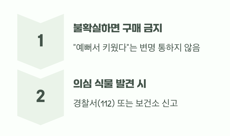 만약 헷갈린다면? 절대 심지 마세요!