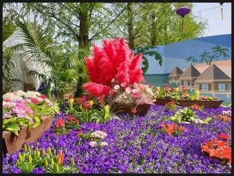 고양 꽃박람회 입장료 사전예약 가는길_22