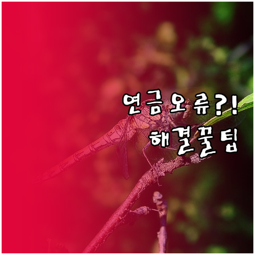 국민연금 내역 확인 오류 해결하는 법..