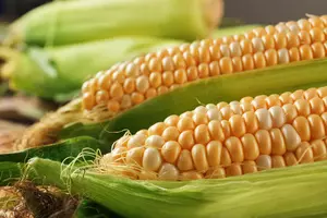 붓기빼는-차