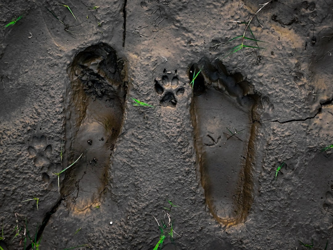 Mud