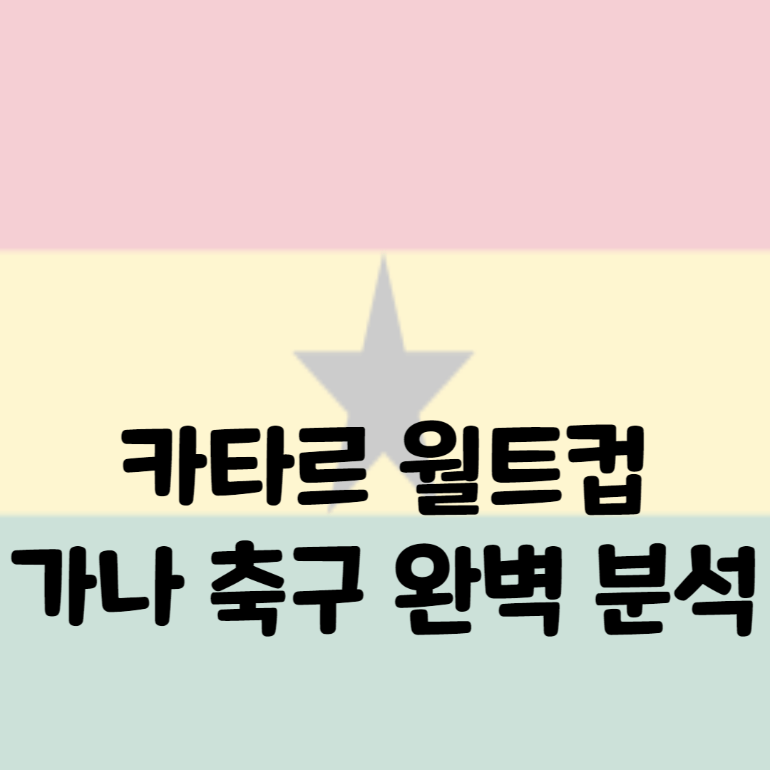 카타르 월드컵 가나