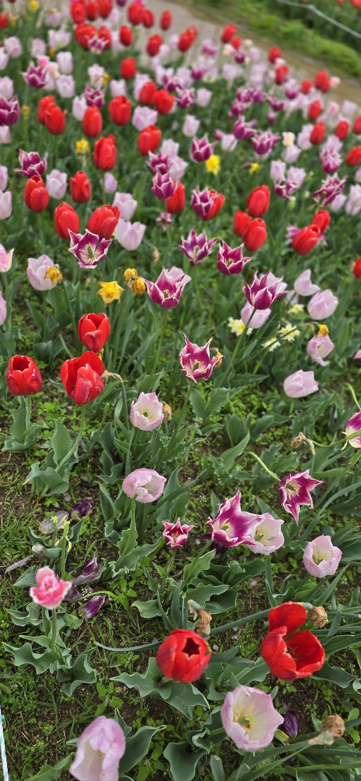 튜울맆 직접 찍은 사진
