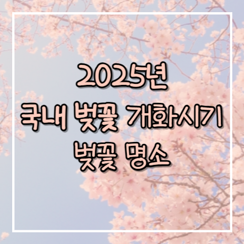 벚꽃명소