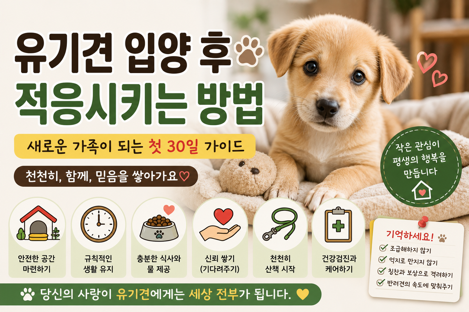 유기견 입양 후 적응시키는 방법｜새로운 가족이 되는 첫 30일 가이드