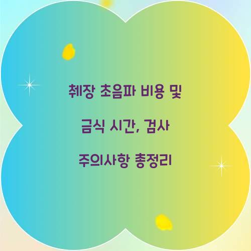 췌장 초음파 비용
