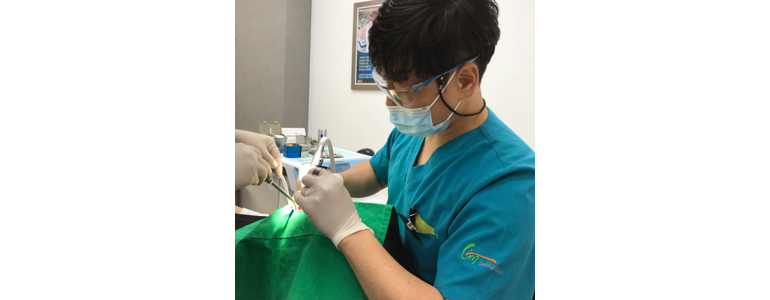 전주 덕진구 틀니 병원