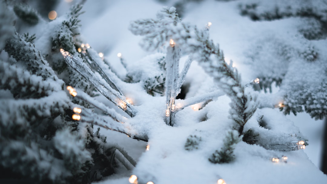 Snow Festival
