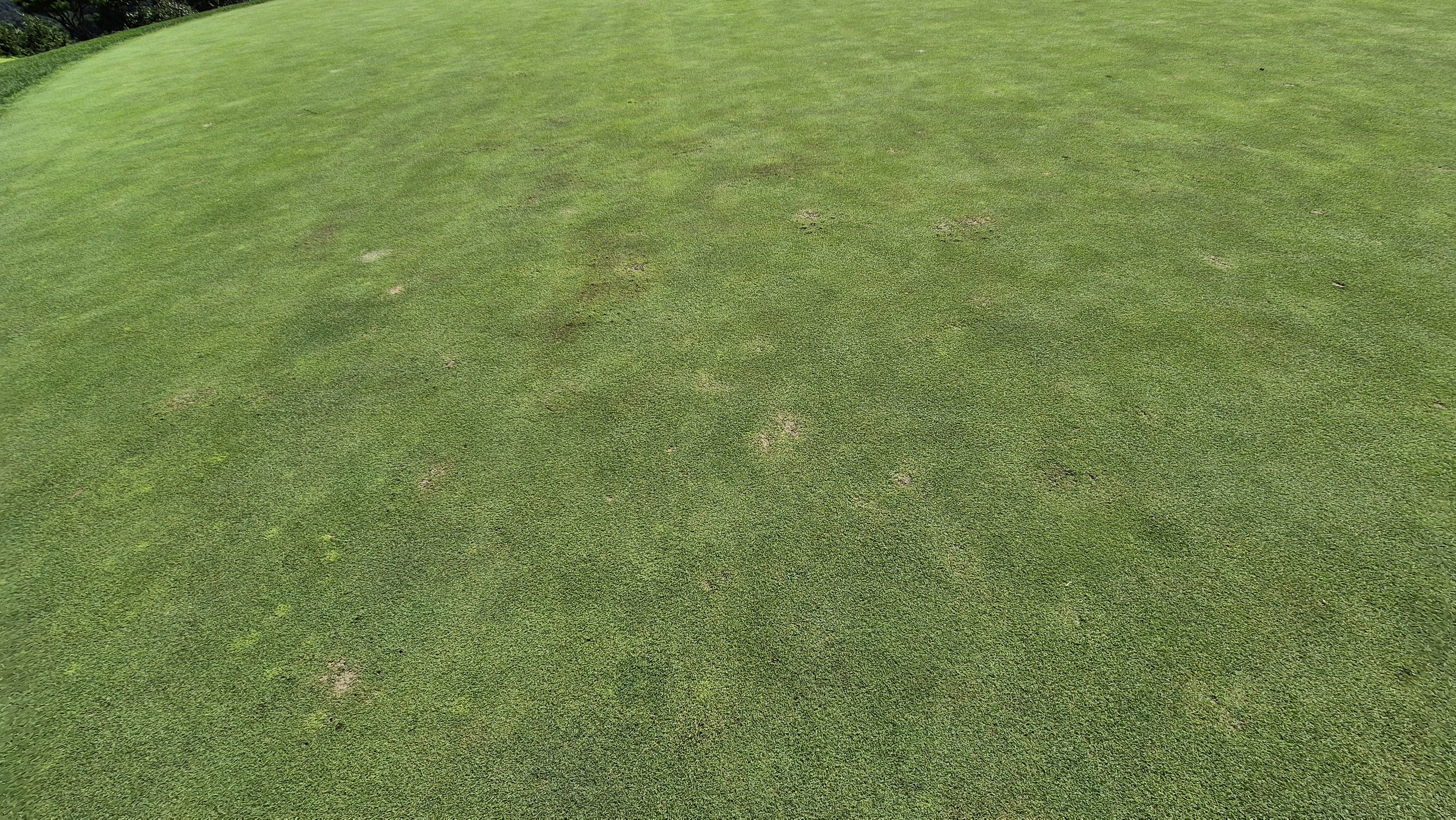 마론cc 라운드 후기