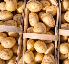 위염에 좋은 음식 영양제 식단