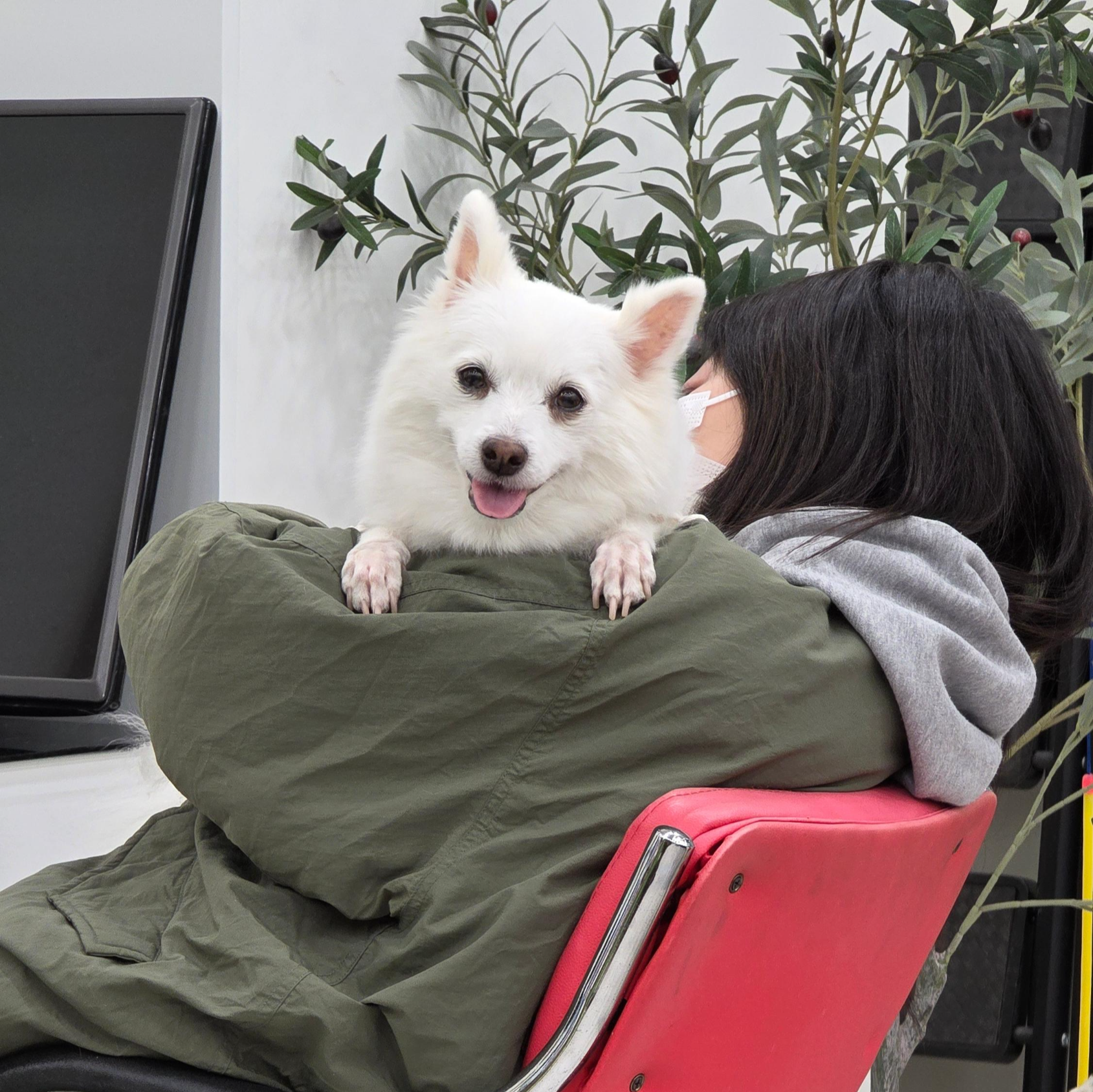 속초 호박동물병원