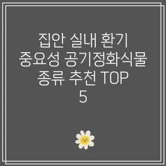 실내화분 환기 요령 미세먼지 많은날 창문관리 공기청정기 병행 팁_3