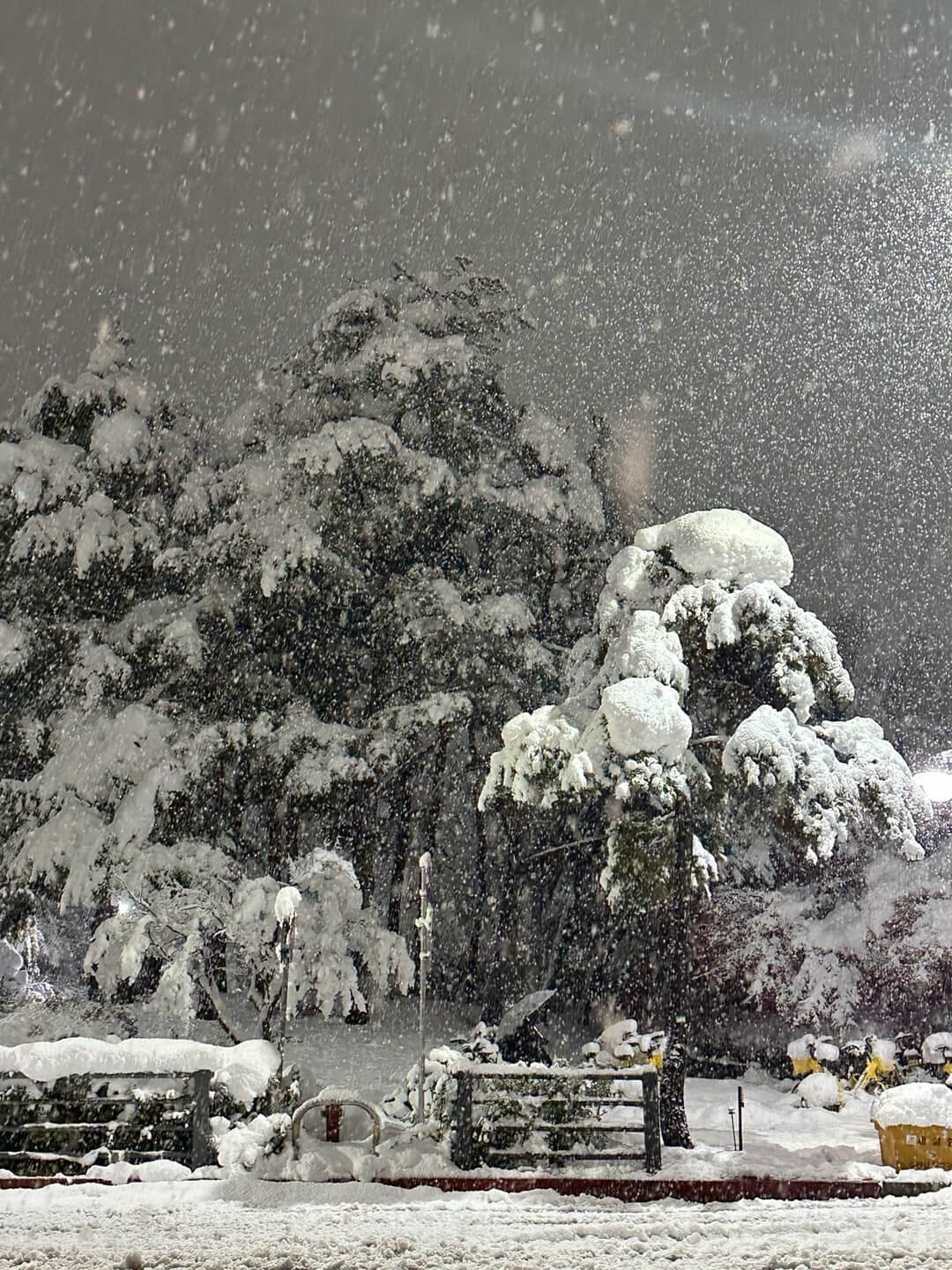 폭설 비행기 결항 지연 보상방법, 보상항목