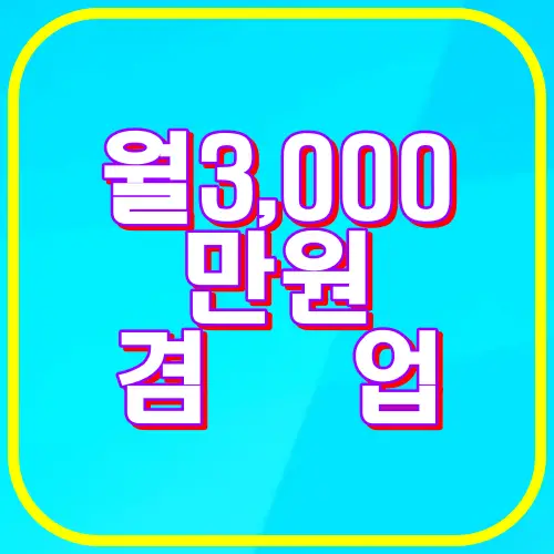 월3,000만원겸업