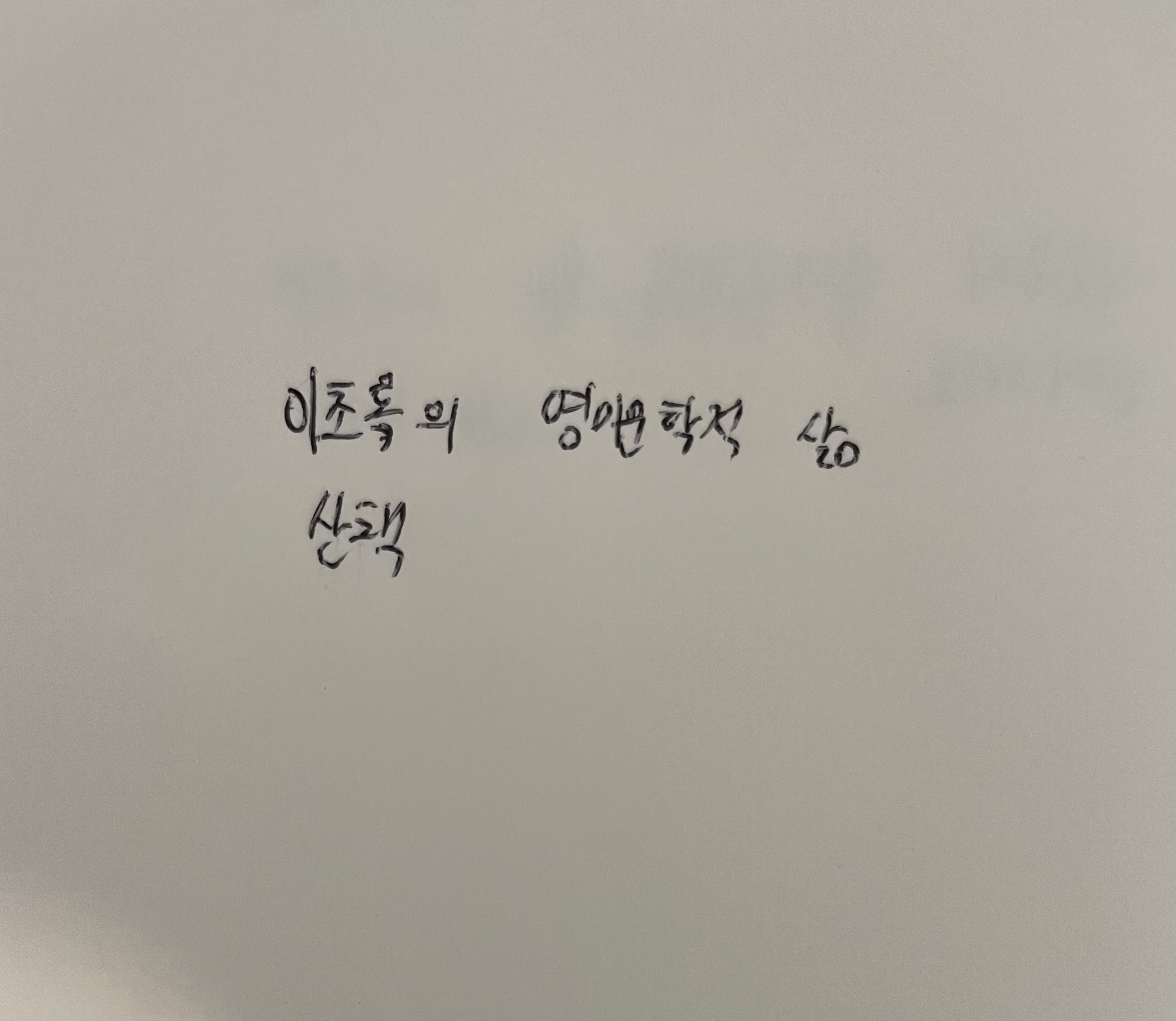 이초록의 영미문학적 삶- 산책 로베르트 발저 손글씨
