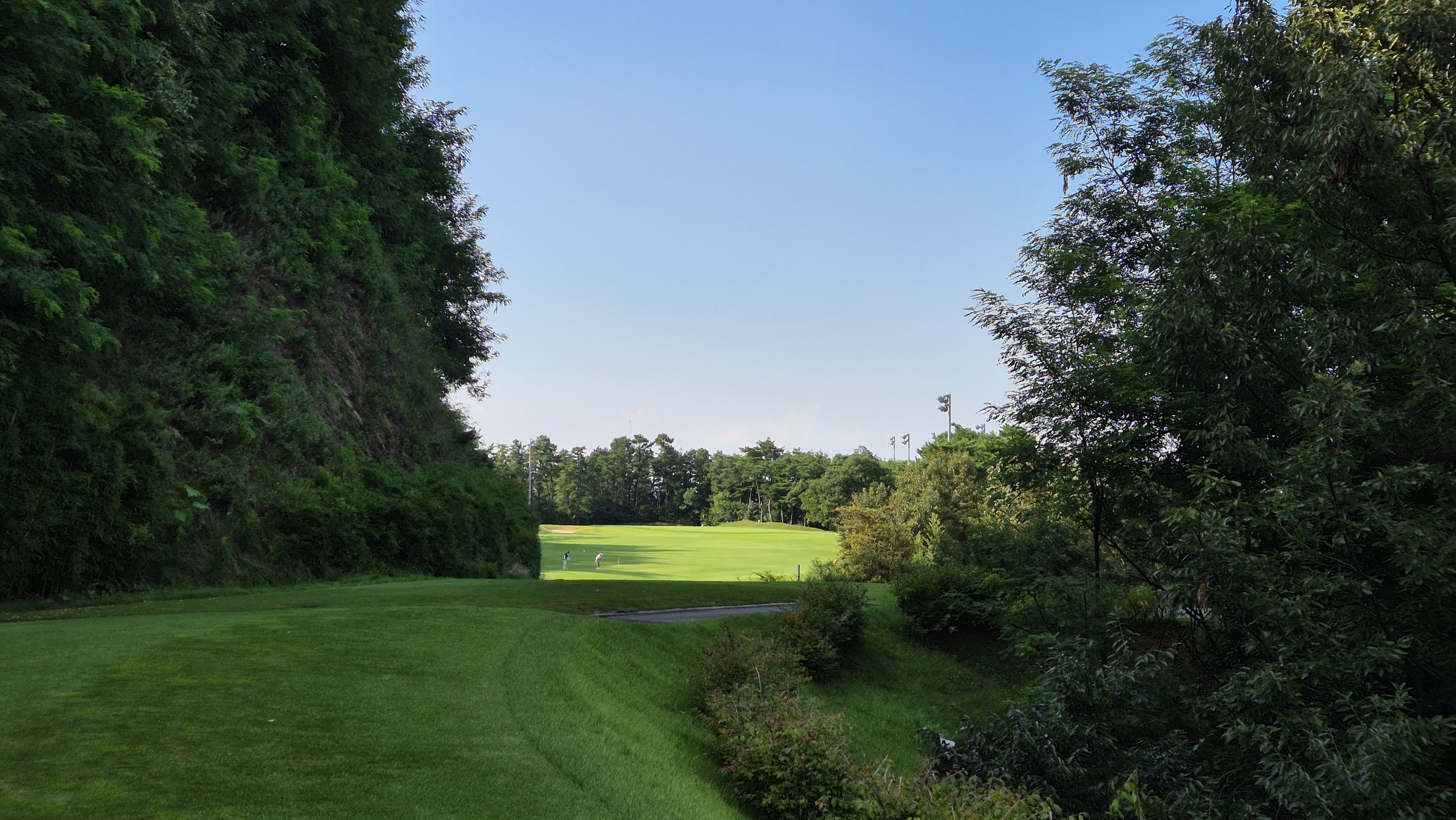 골프존카운티 화랑 코스 사진 및 공략 정보