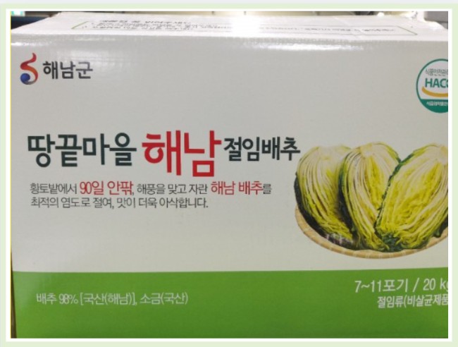 해남배추