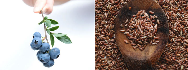 공복혈당 당화혈색소 당뇨정상수치 혈당을 낮춰주는 음식