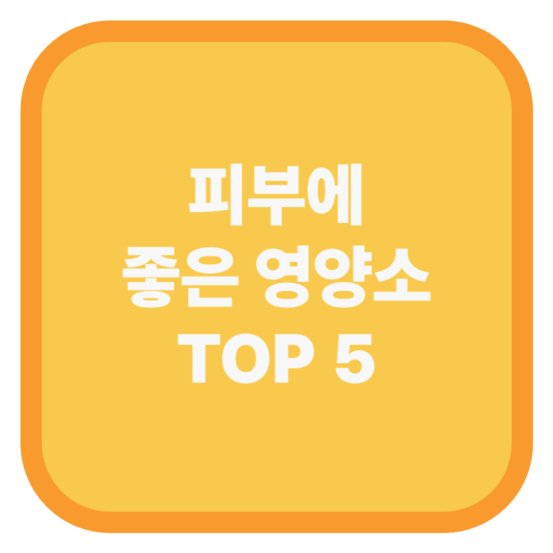 피부에 좋은 영양소 TOP 5