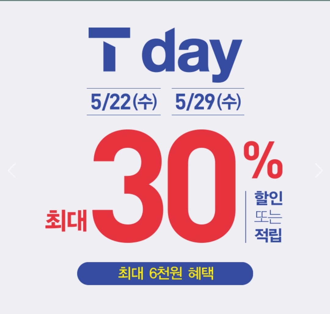 5월 티데이