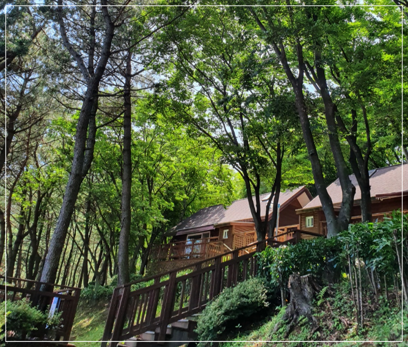 금련산 수련원 전망대 이미지