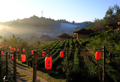 치앙마이 여행하기 좋은 계절(날씨,준비물)