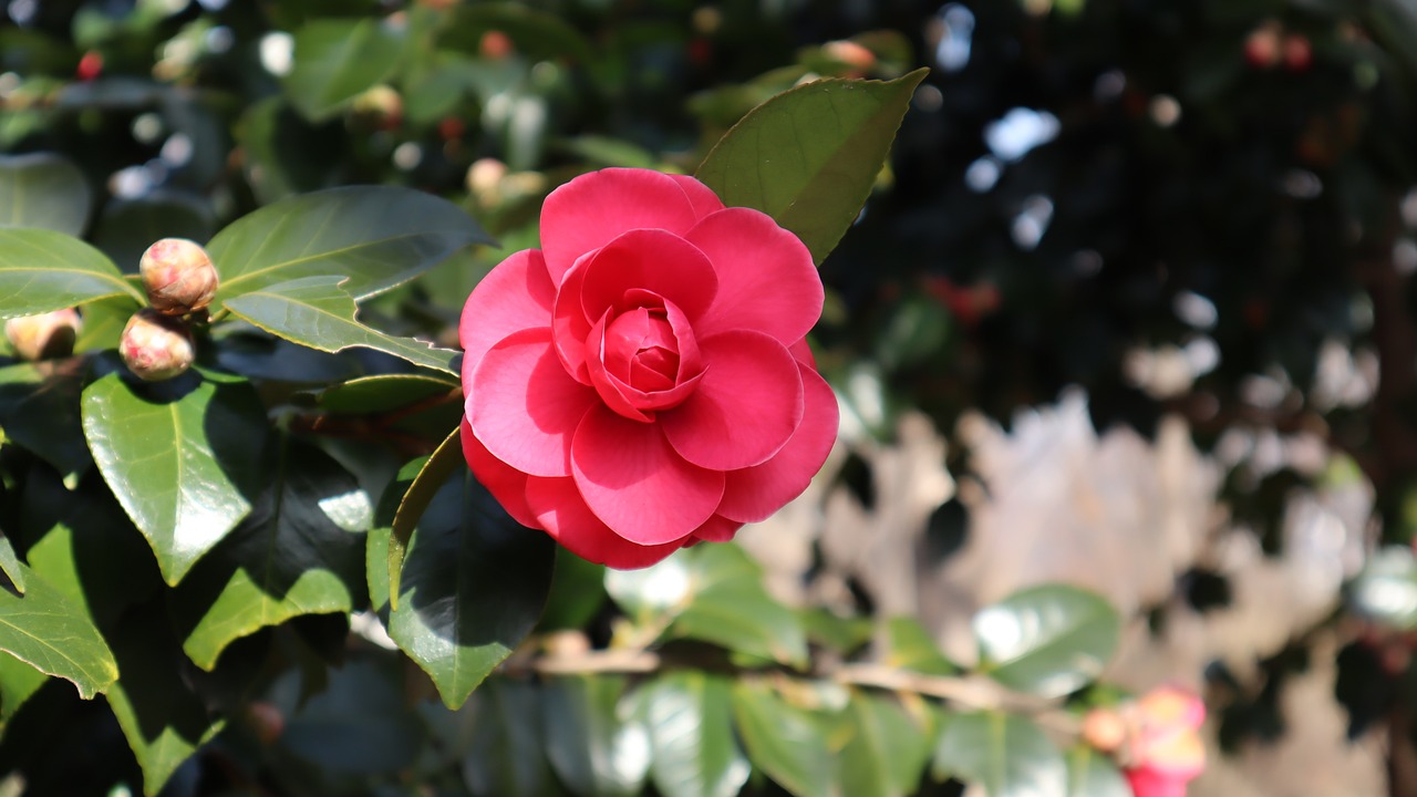 여수 여행! 1박 2일 코스 완벽 정리!