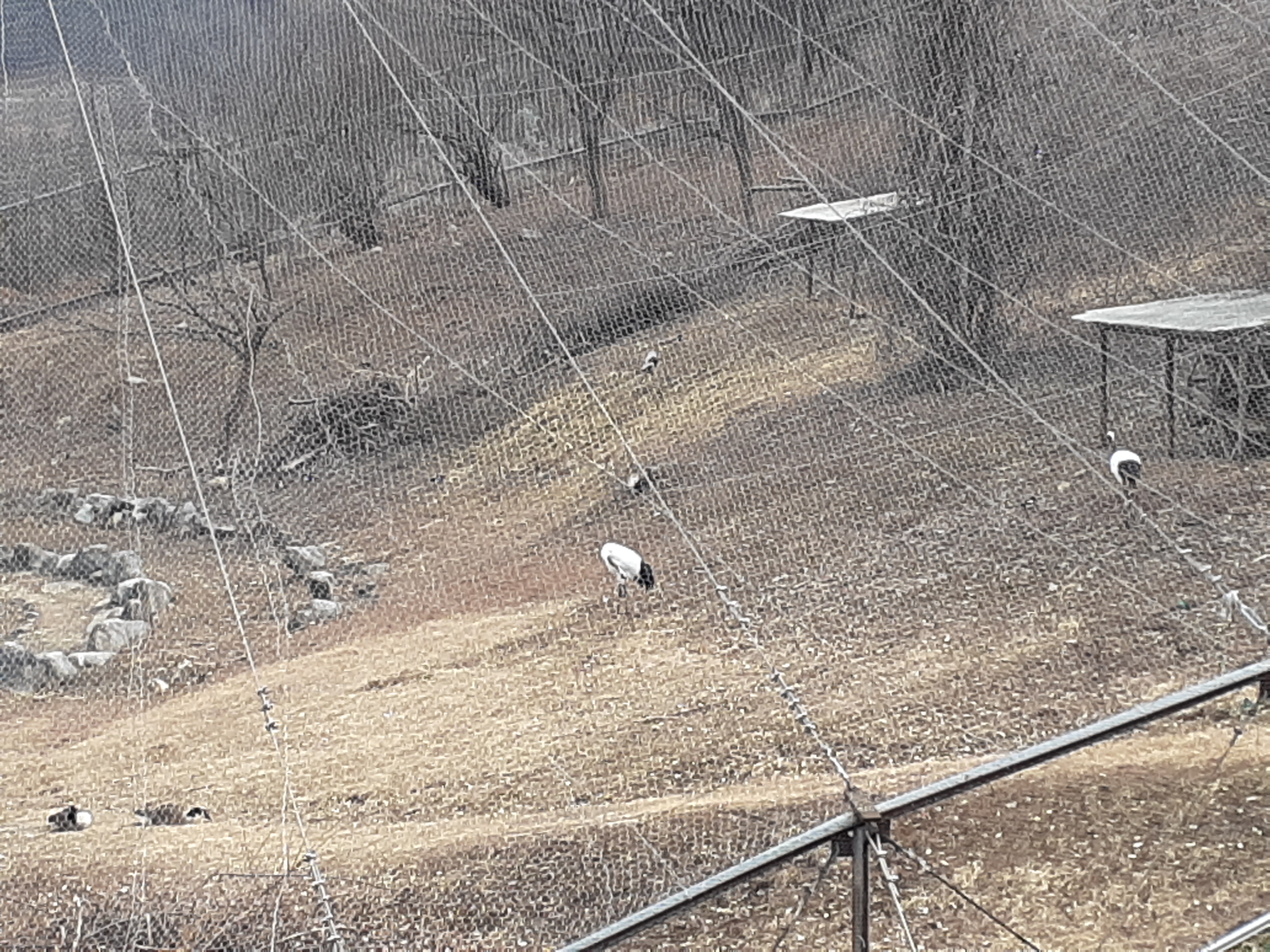 청주동물원