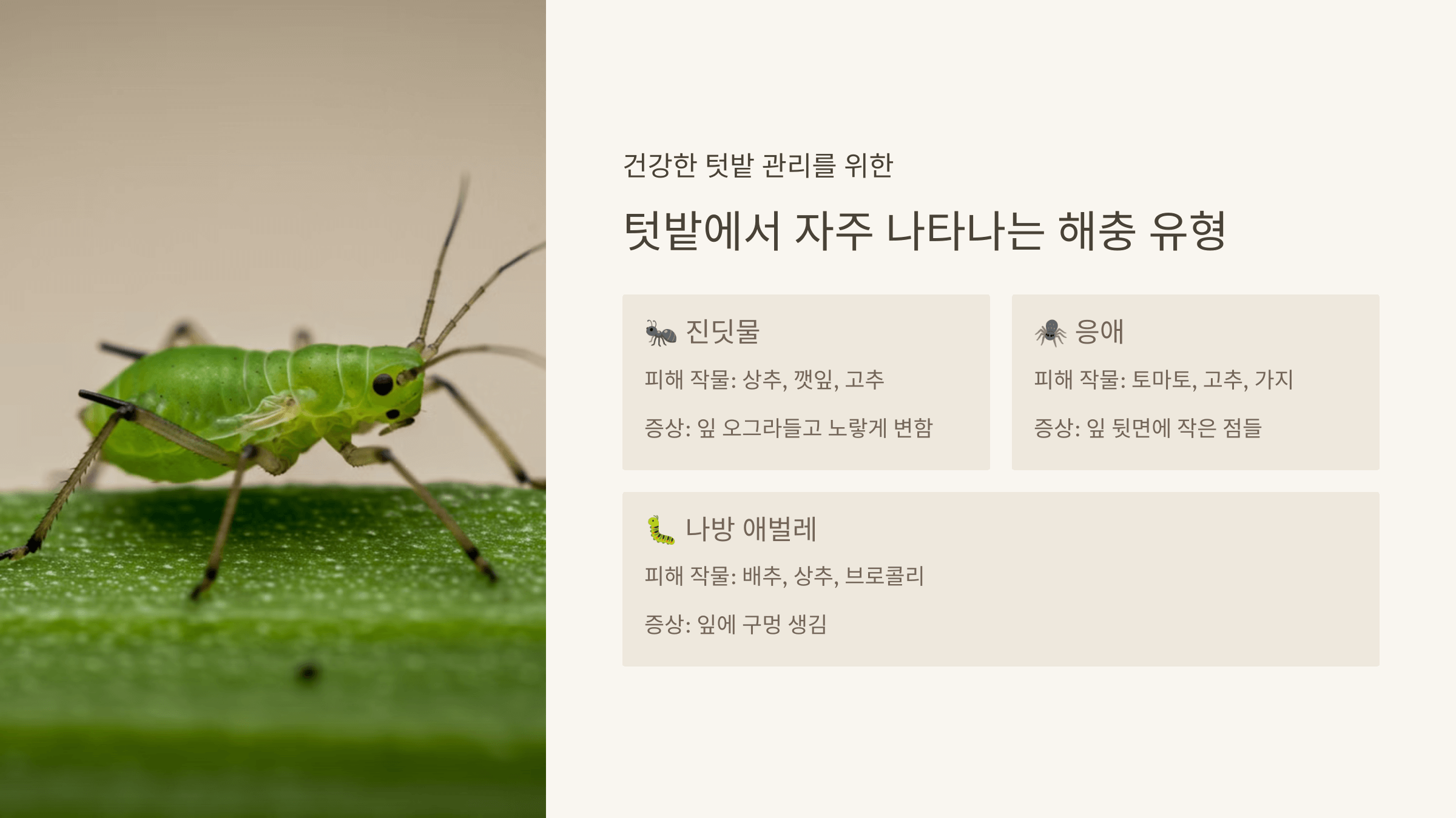 텃밭에서 자주 나타나는 해충 유형
