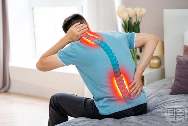 허리가 찌릿 아플때 척추관협착증 증상 원인