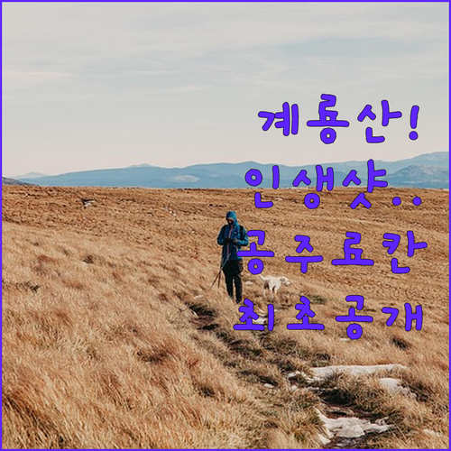 공주 계룡산 인생샷 촬영 포인트 안내..