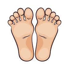 발이 차가운 이유