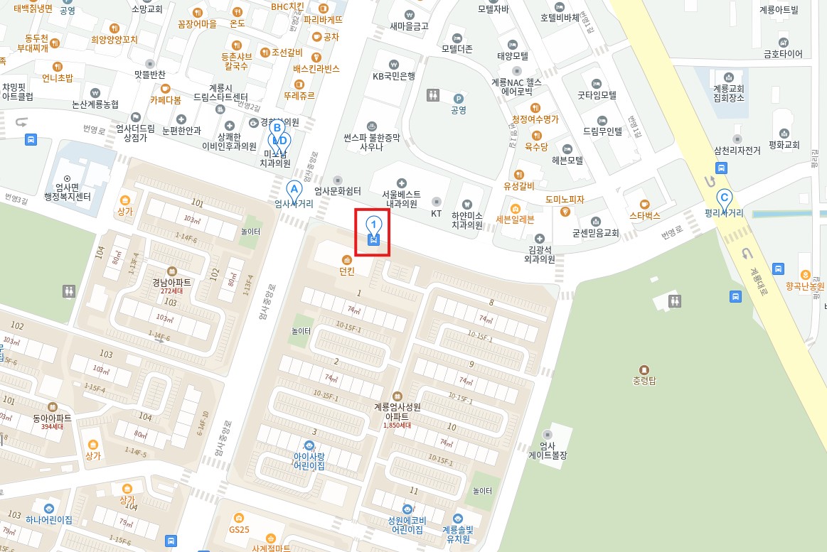 계룡 엄사 인천공항 리무진 버스 시간표 요금 예약 방법