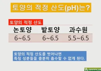 토양 pH 관리 산도 측정 교정 석회 시비 가용성 개선_21