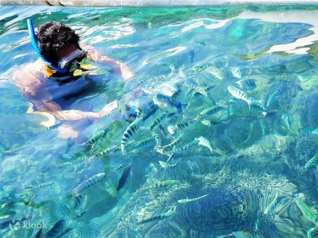 인도네시아 발리 여행