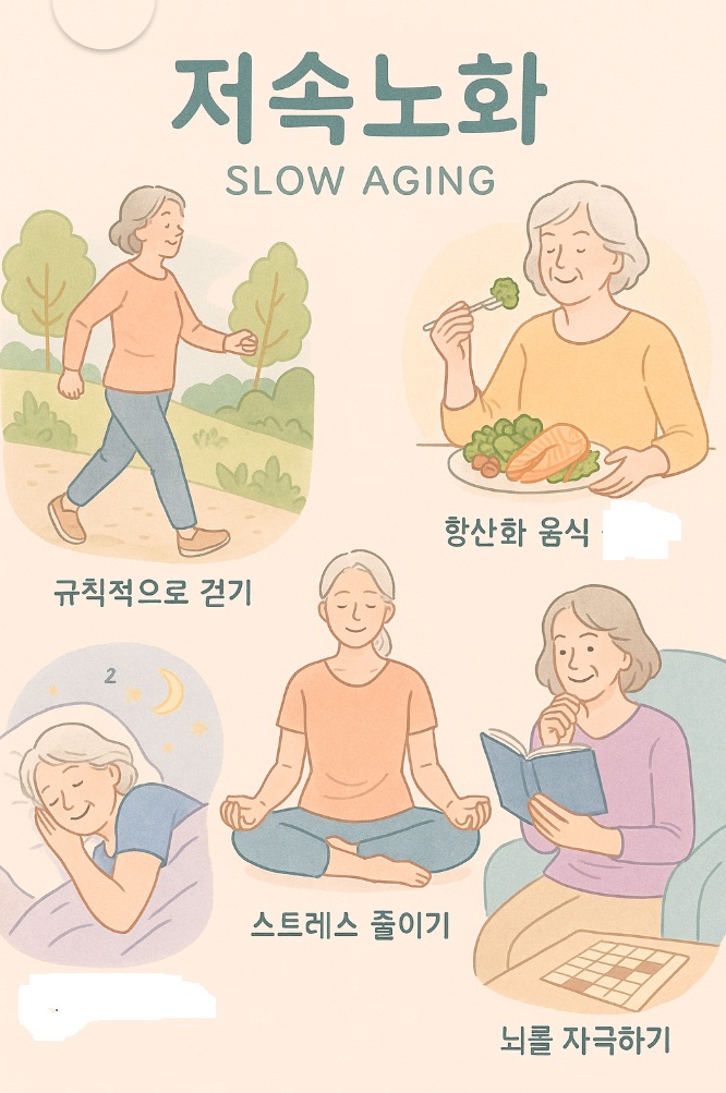 저속노화란 무엇인가?