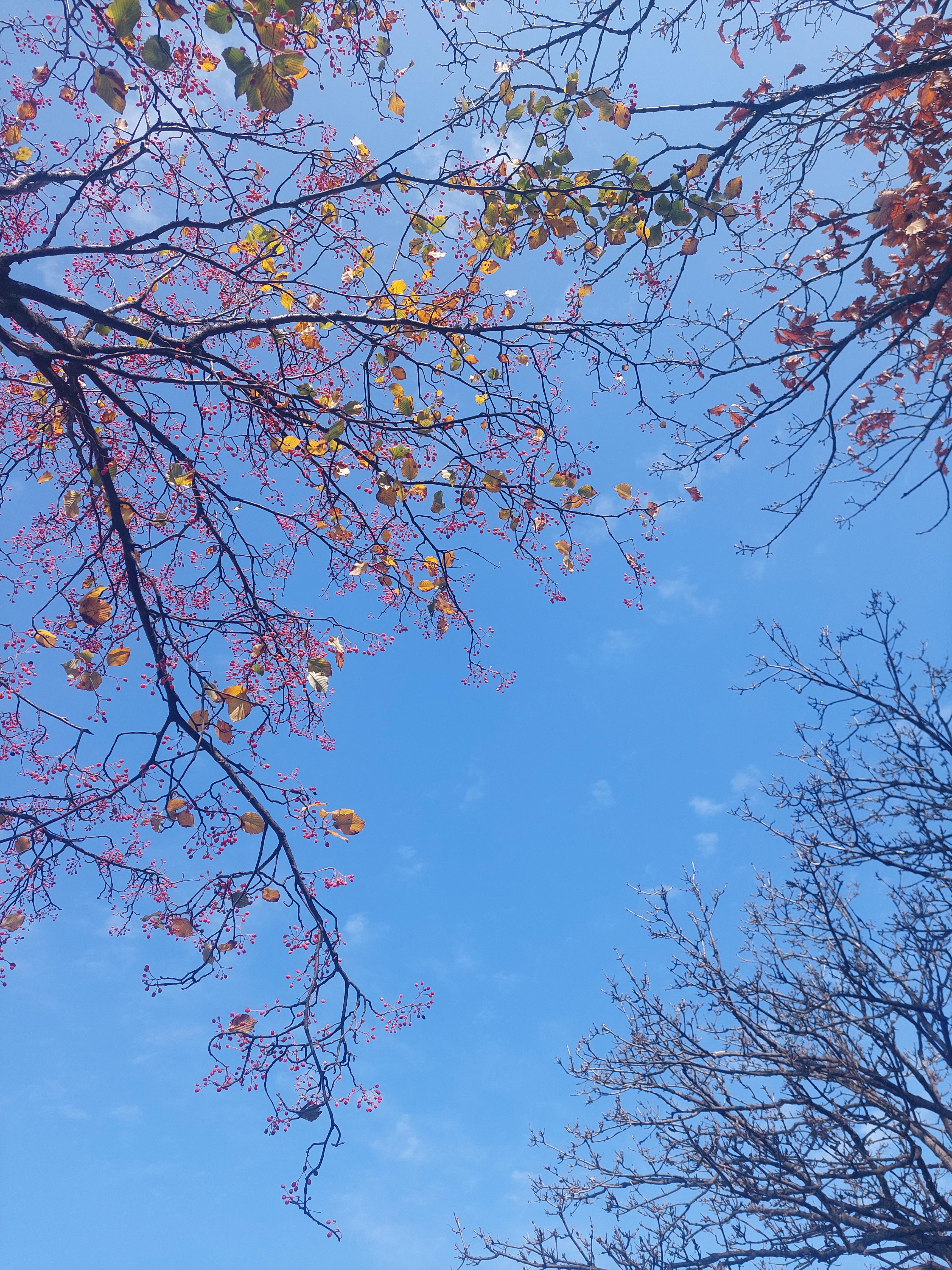 남산
