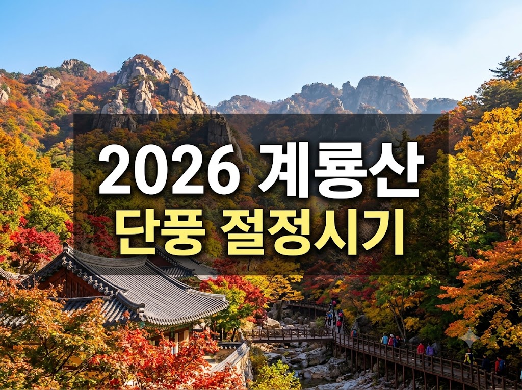 계룡산 단풍 절정시기